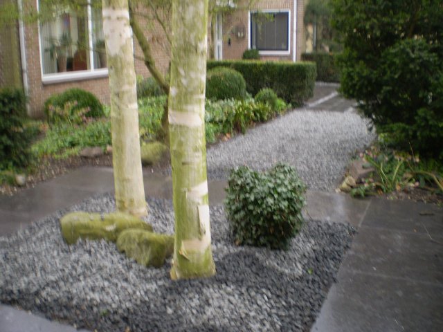 P4020045